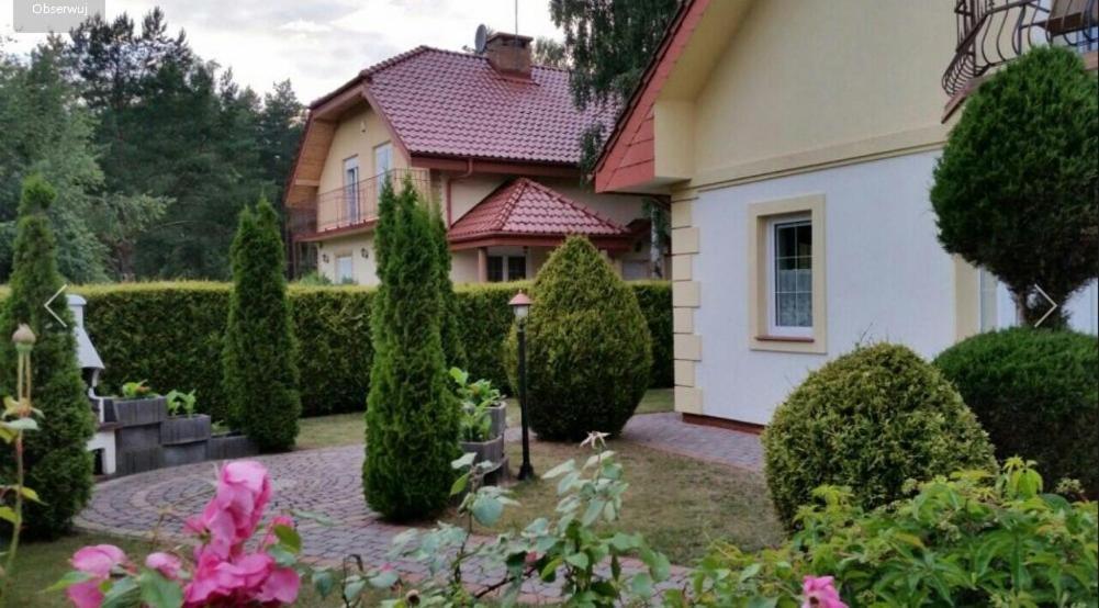Apartament Rowy IV dół Zewnętrze zdjęcie
